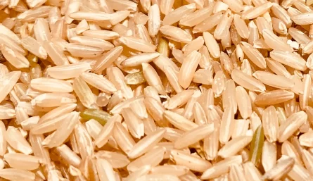 image_7afc92aa-9f62-4eee-a6a3-574cb7fe18b8_1024x1024@2x